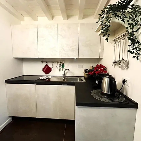 Purple Lily Apartment Florenz